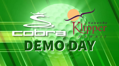 Klipper Demo Day with Cobra