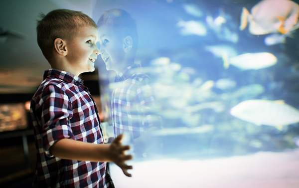 Youth Fitness (Ages 5-6)