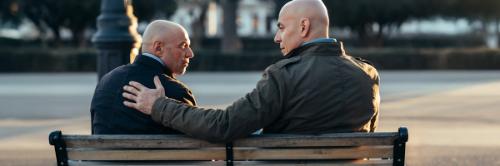 vehicle violation citation